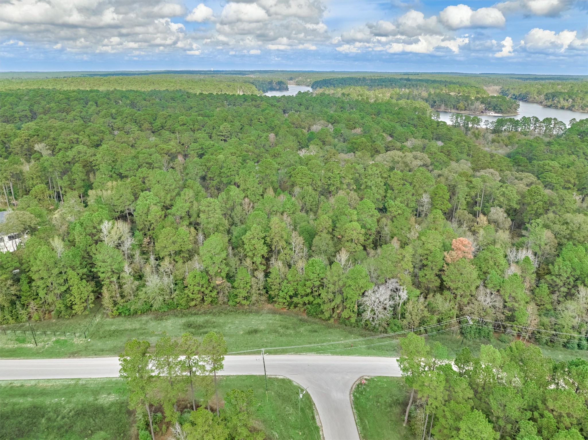 498 Lonestar Road Huntsville, TX 77340 - Photo 12 of 20 a view of a field with an trees
