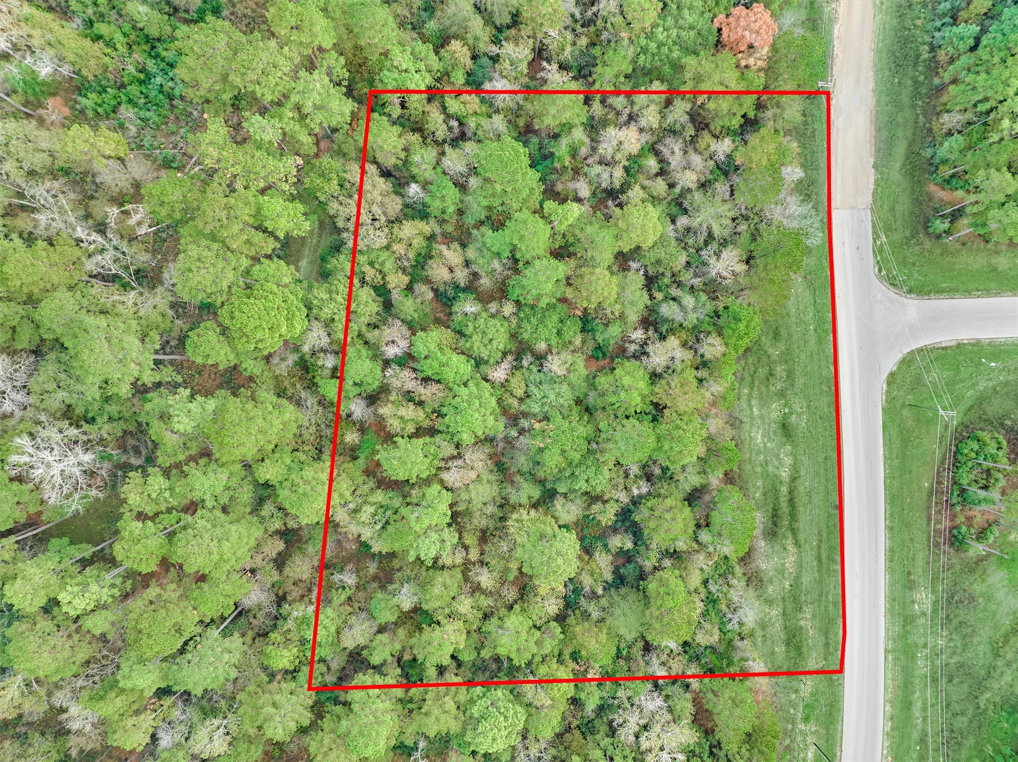 498 Lonestar Road Huntsville, TX 77340 - Photo 16 of 20 a view of a garden with a tree