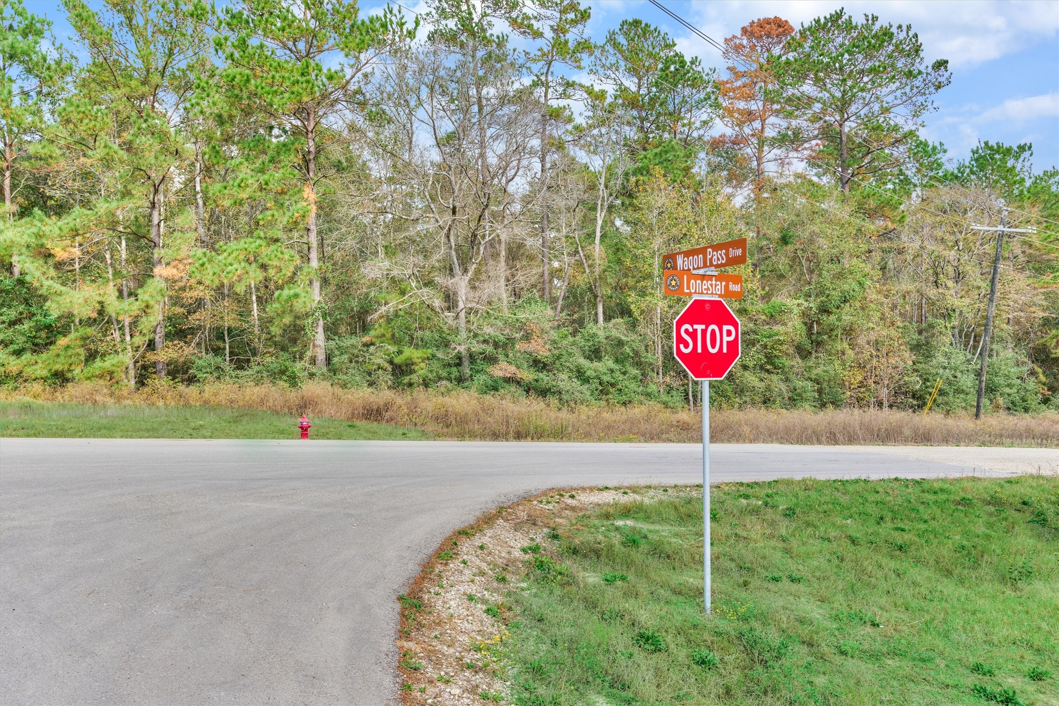 498 Lonestar Road Huntsville, TX 77340 - Photo 18 of 20 a sign board with an trees