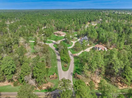 a view of a yard with plants