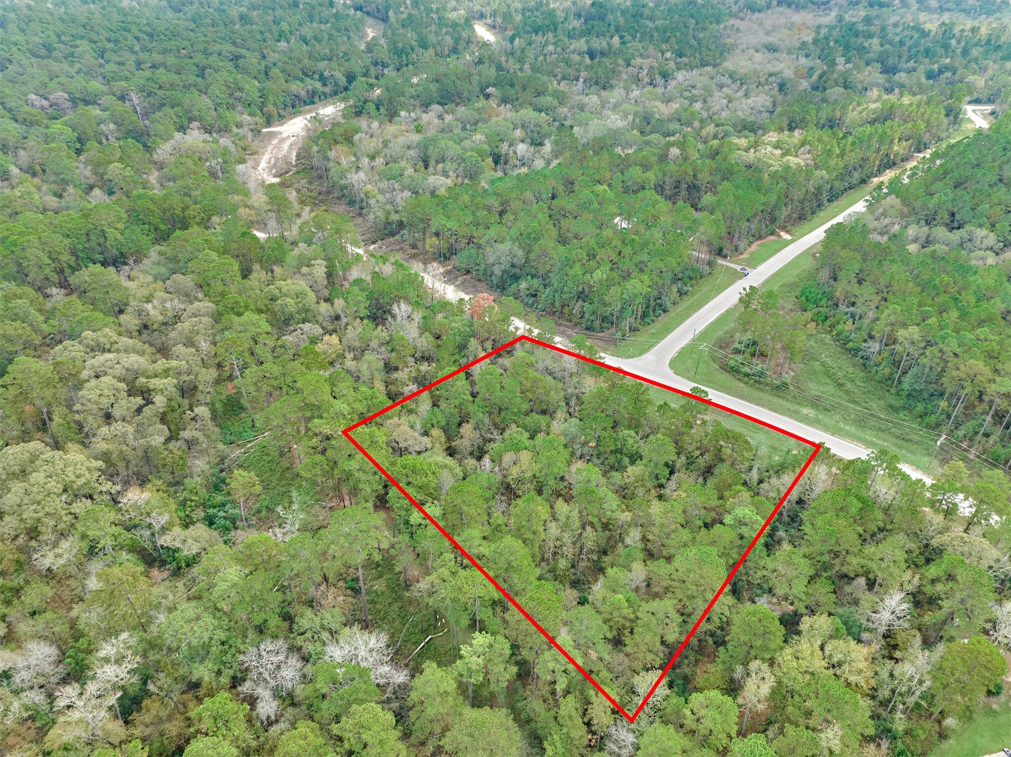 498 Lonestar Road Huntsville, TX 77340 - Photo 7 of 20 a view of a lush green forest with a small yard