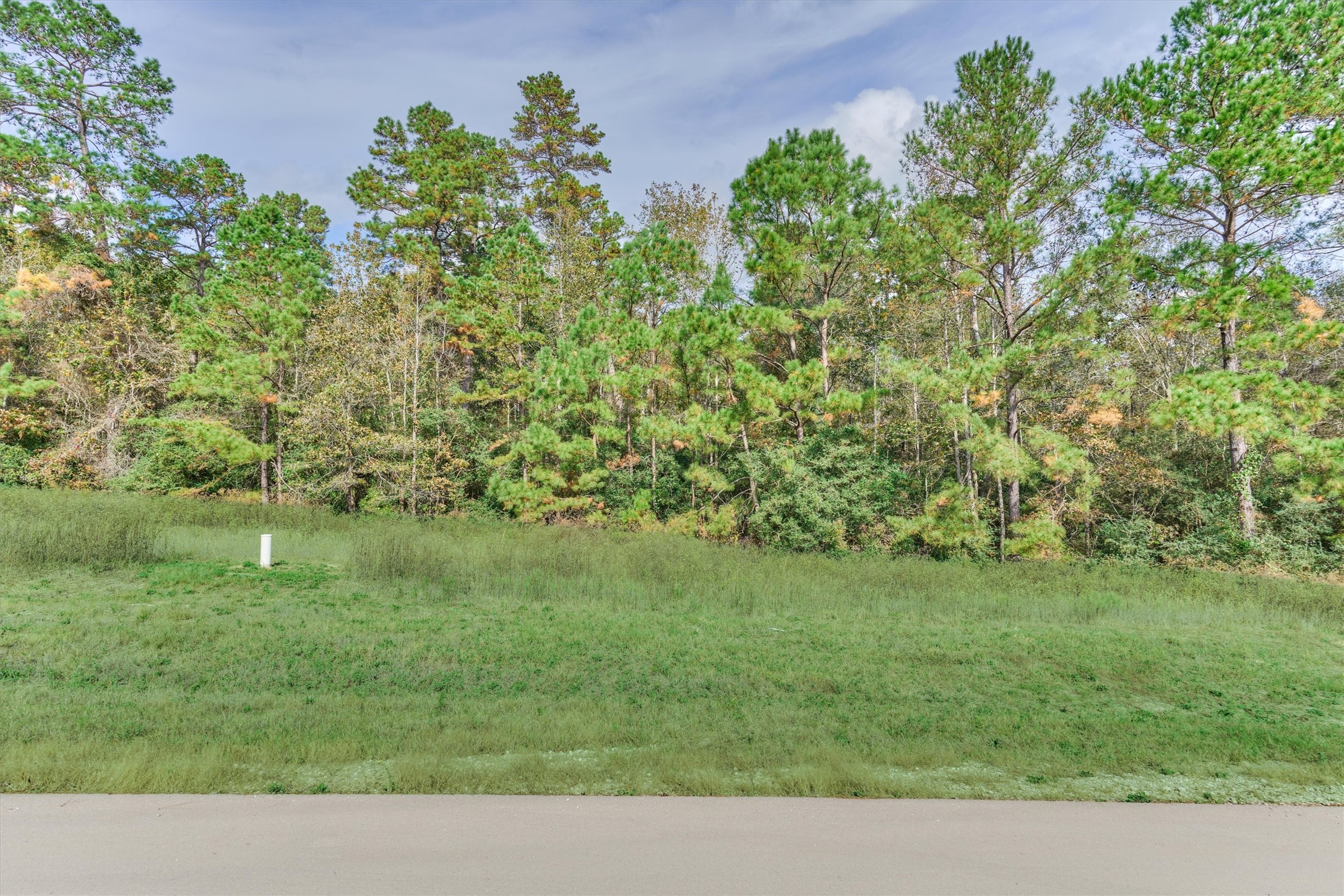 498 Lonestar Road Huntsville, TX 77340 - Photo 9 of 20 a backyard of a house with lots of green space