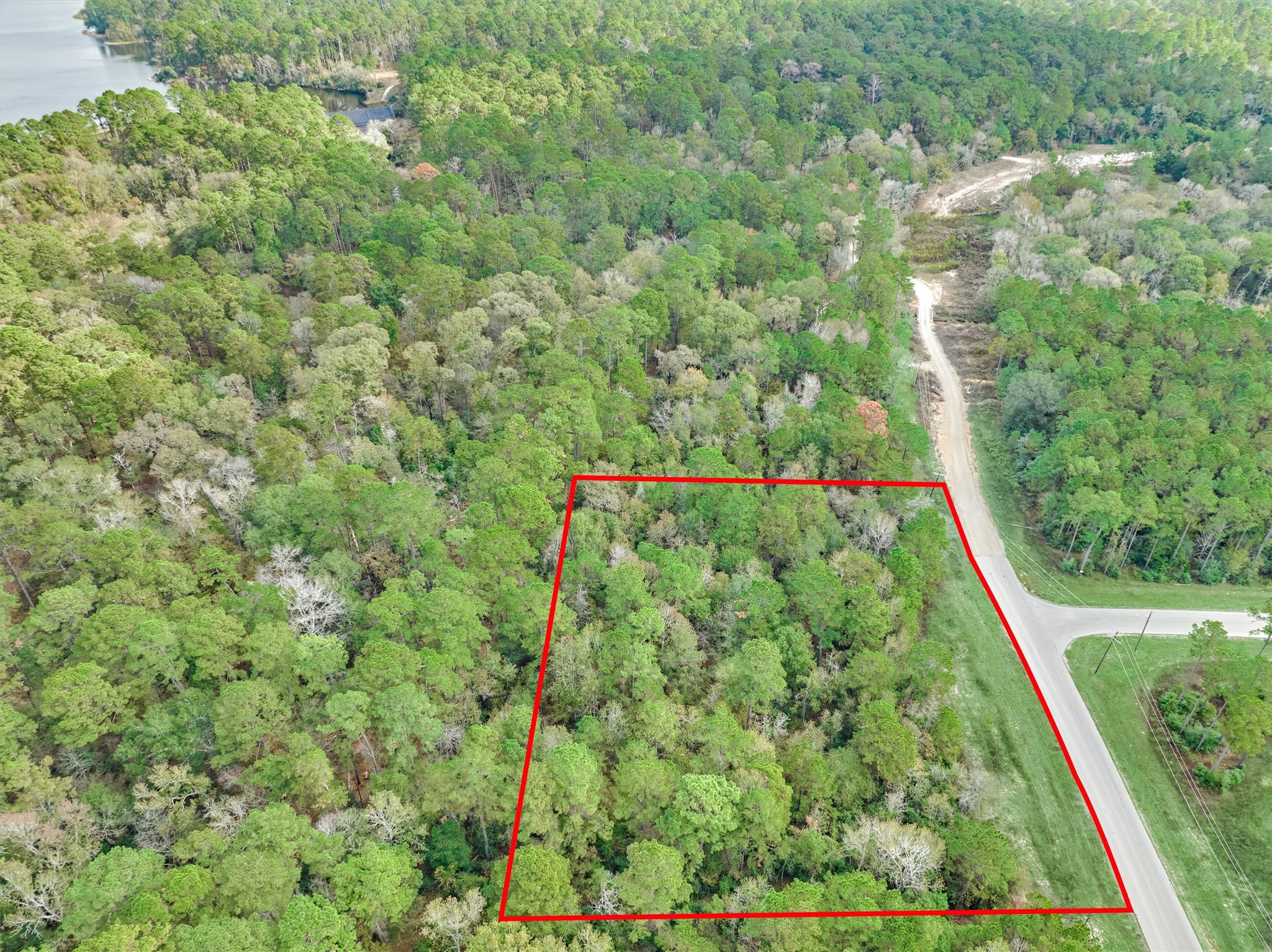 498 Lonestar Road Huntsville, TX 77340 - Photo 10 of 20 a view of a yard with plants
