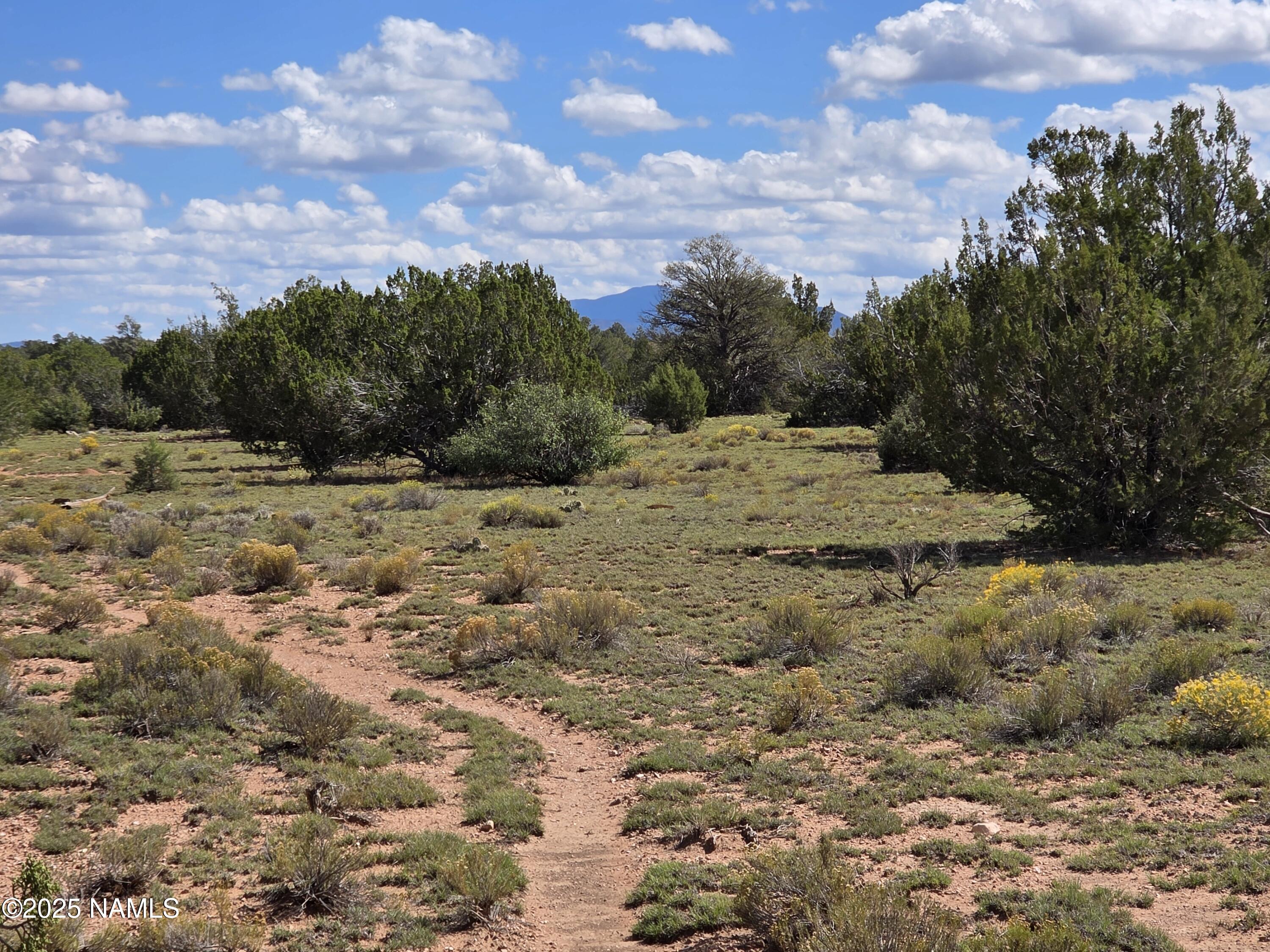 10422 West Red Bluff Road Williams, AZ 86046 - Photo 8 of 28 1000053469