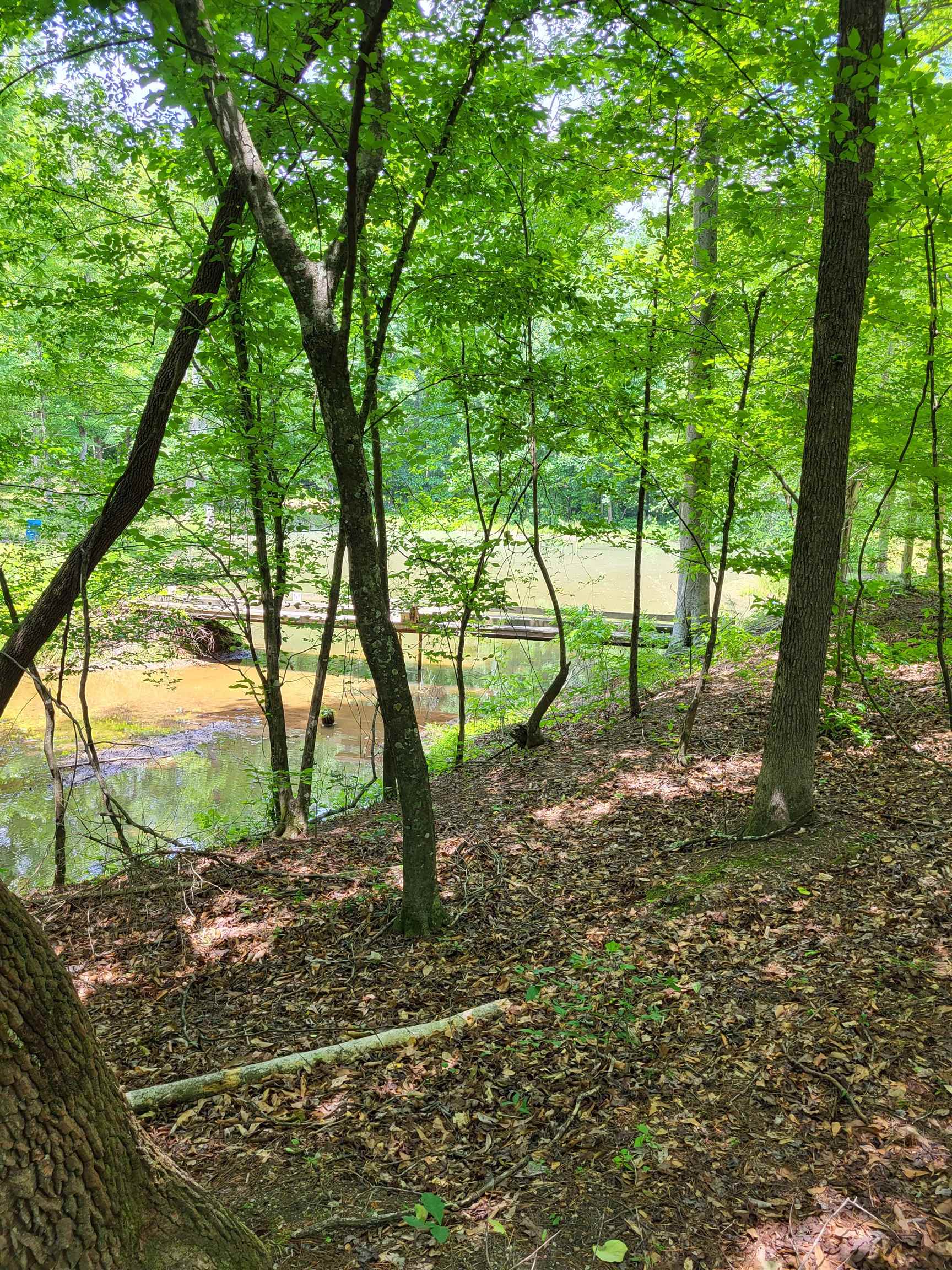 0 Bullington Road Spartanburg, SC 29306 - Photo 10 of 11 Gallery Image 10