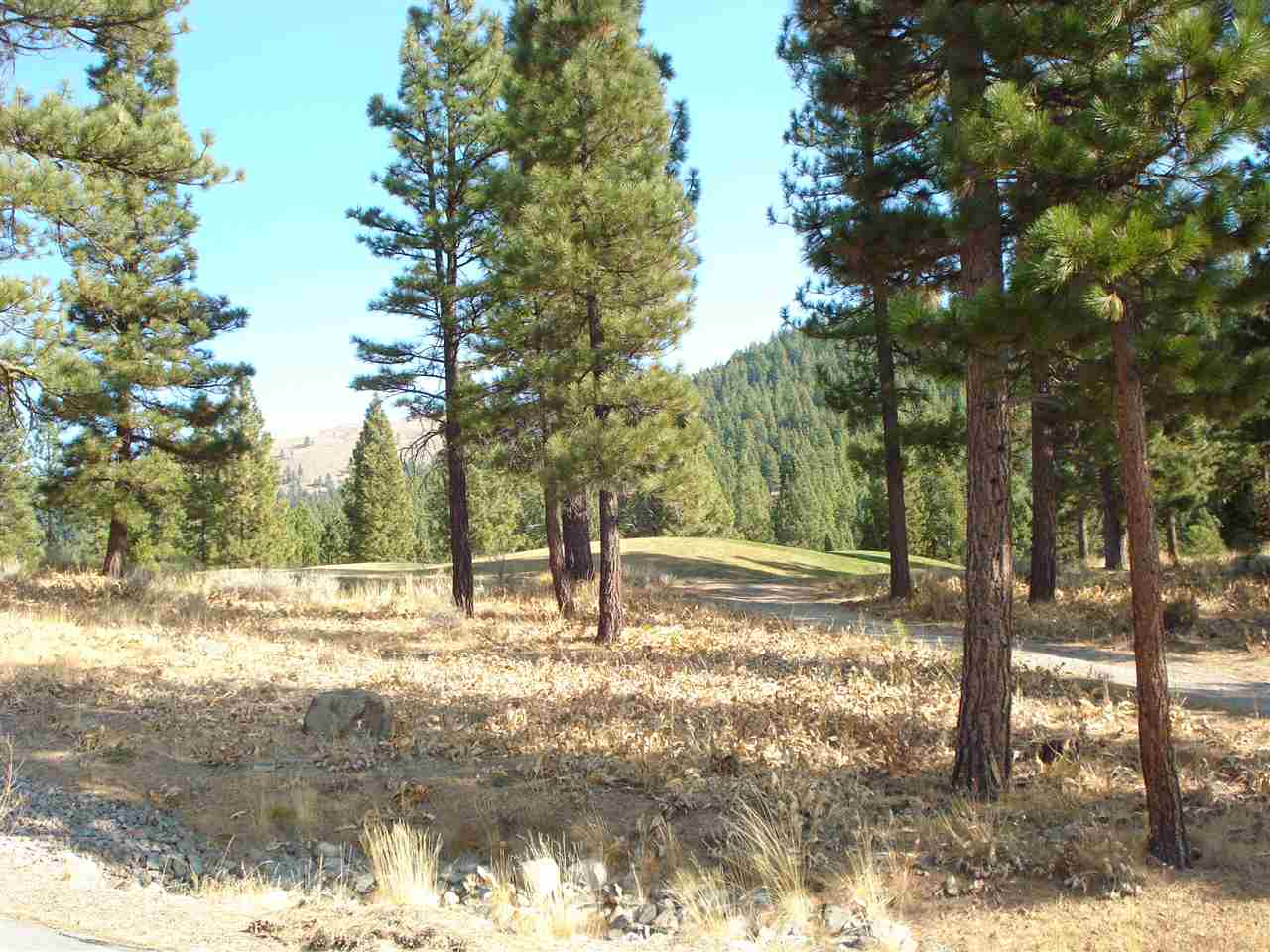 1891 Grizzly Ranch Road Portola, CA 96122 - Photo 5 of 11 Gallery Image 5