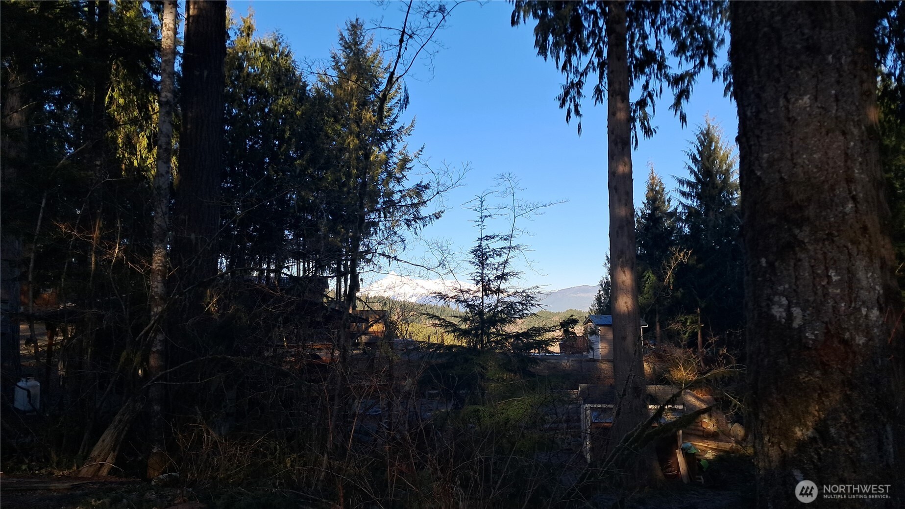 44951 Blacktail Loop Concrete, WA 98237 - Photo 5 of 12