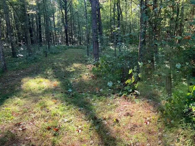 a view of a yard with small trees