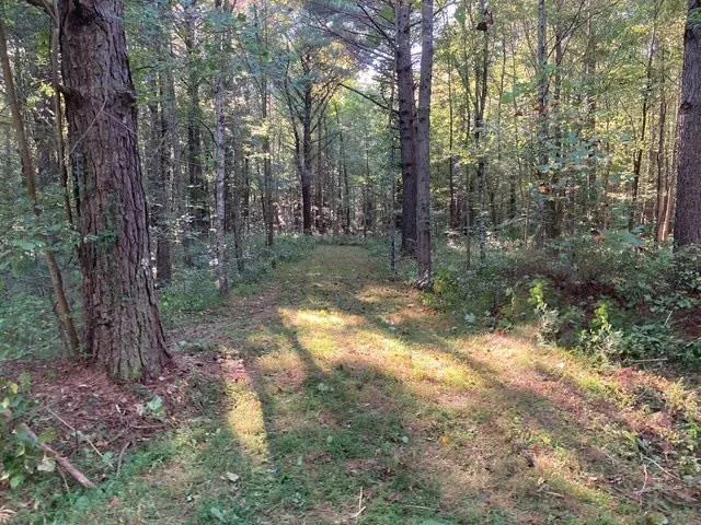 a view of outdoor space and green space