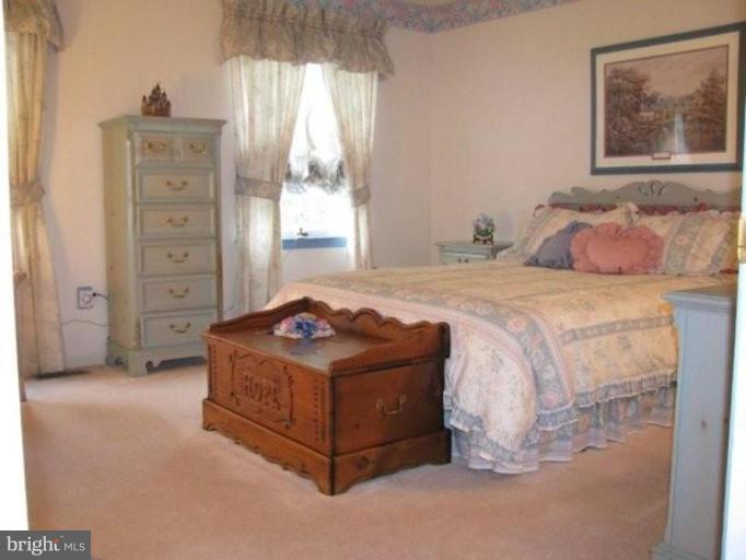 1003 Inkberry Way Frederick, MD 21703 - Photo 11 of 17 Bedroom #2