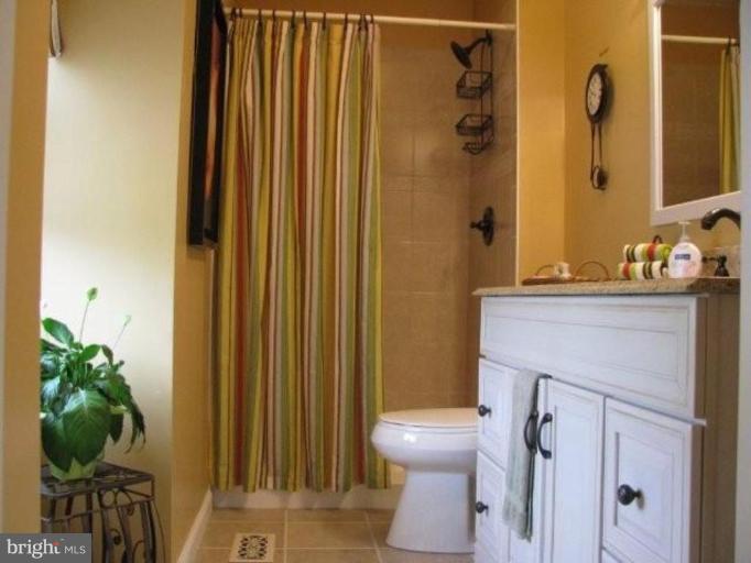 1003 Inkberry Way Frederick, MD 21703 - Photo 10 of 17 Master Bath