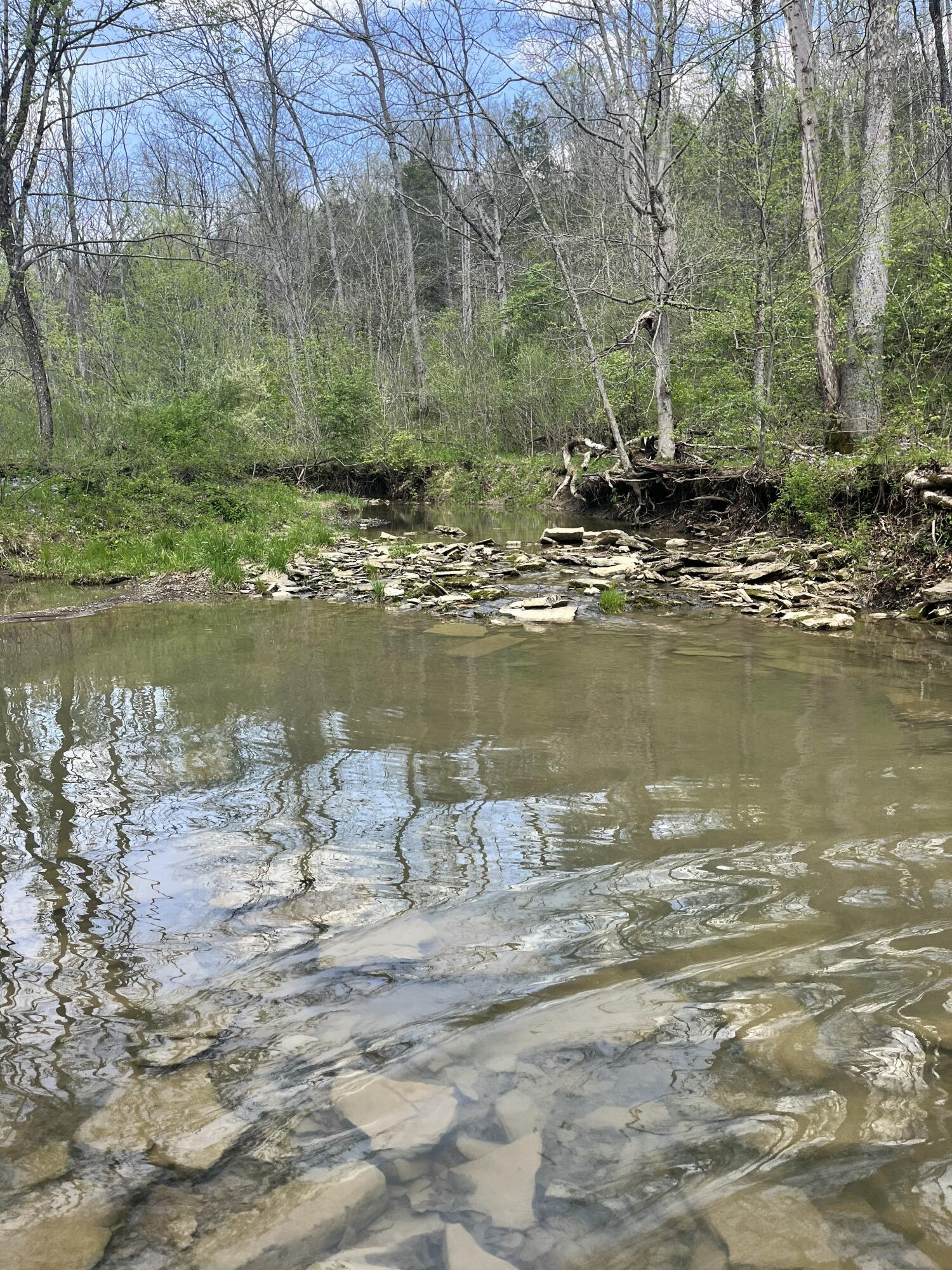 1078 Hamilton Road Brooksville, KY 41004 - Photo 46 of 50