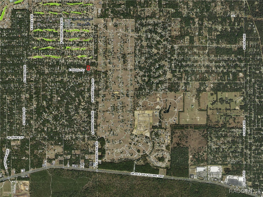 787 East Reehill Street Lecanto, FL 34461 - Photo 9 of 10 Property Appraiser