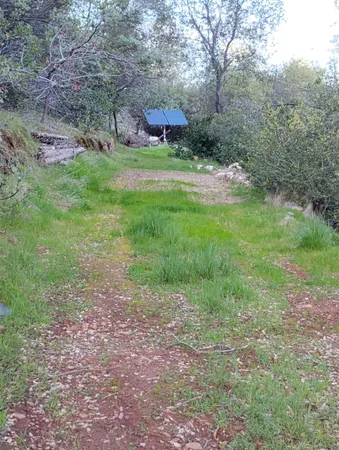 a green field with lots of trees