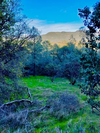 a view of a yard with mountains