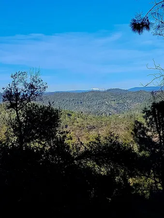 a view of a park