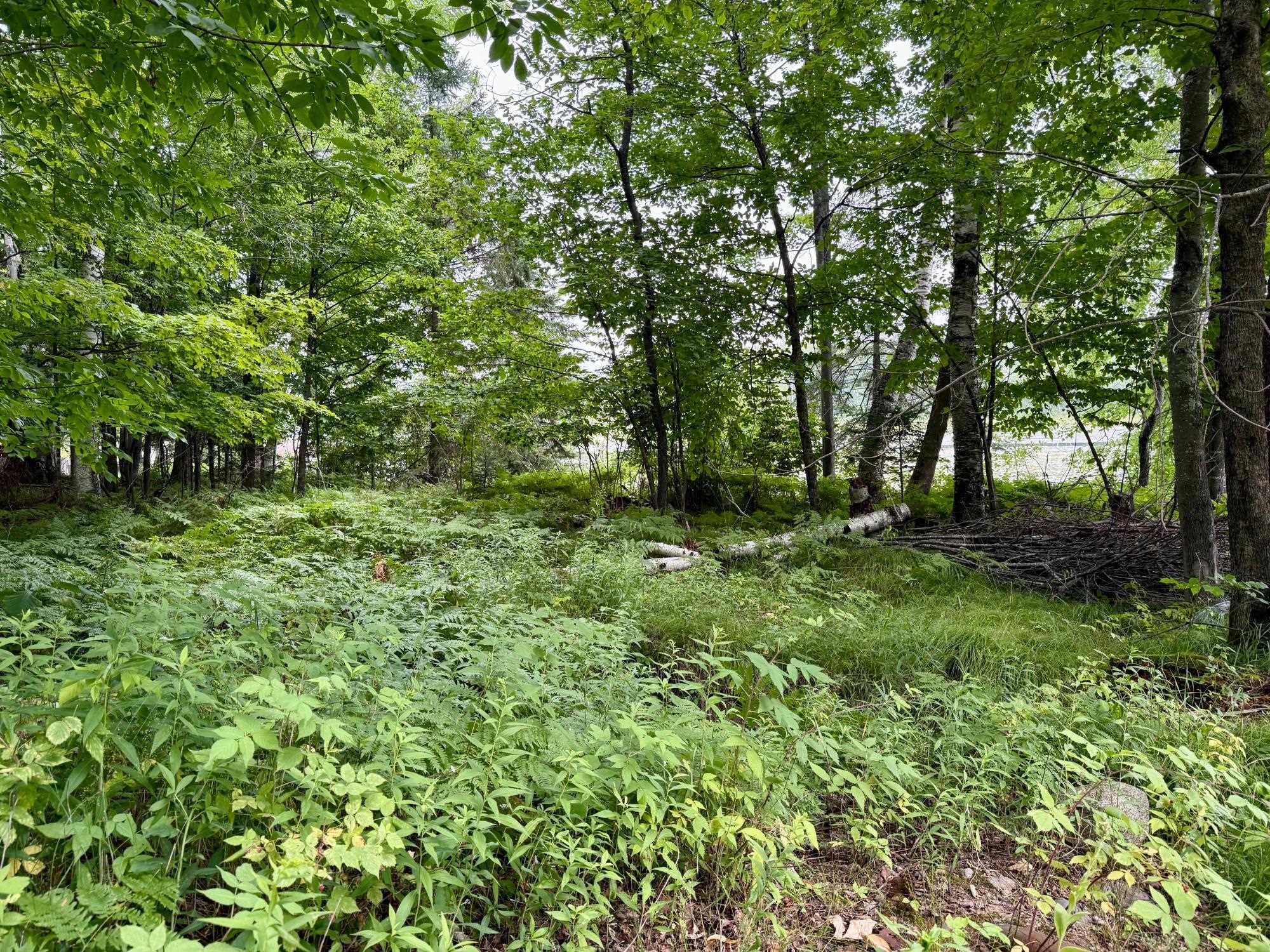 W6845 Disappearing Creek Road Phillips, WI 54555 - Photo 24 of 45