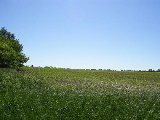 1 Rockton Road Caledonia, IL 61011 - Photo 1 of 5 a view of a field with an ocean