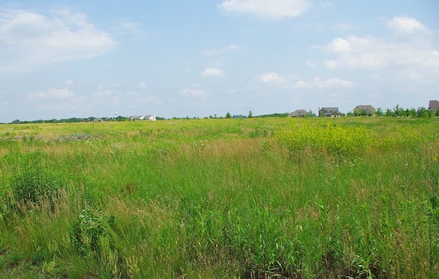 657 Ridgeview Lane Sugar Grove, IL 60554 - Photo 6 of 7 a view of an ocean and yard
