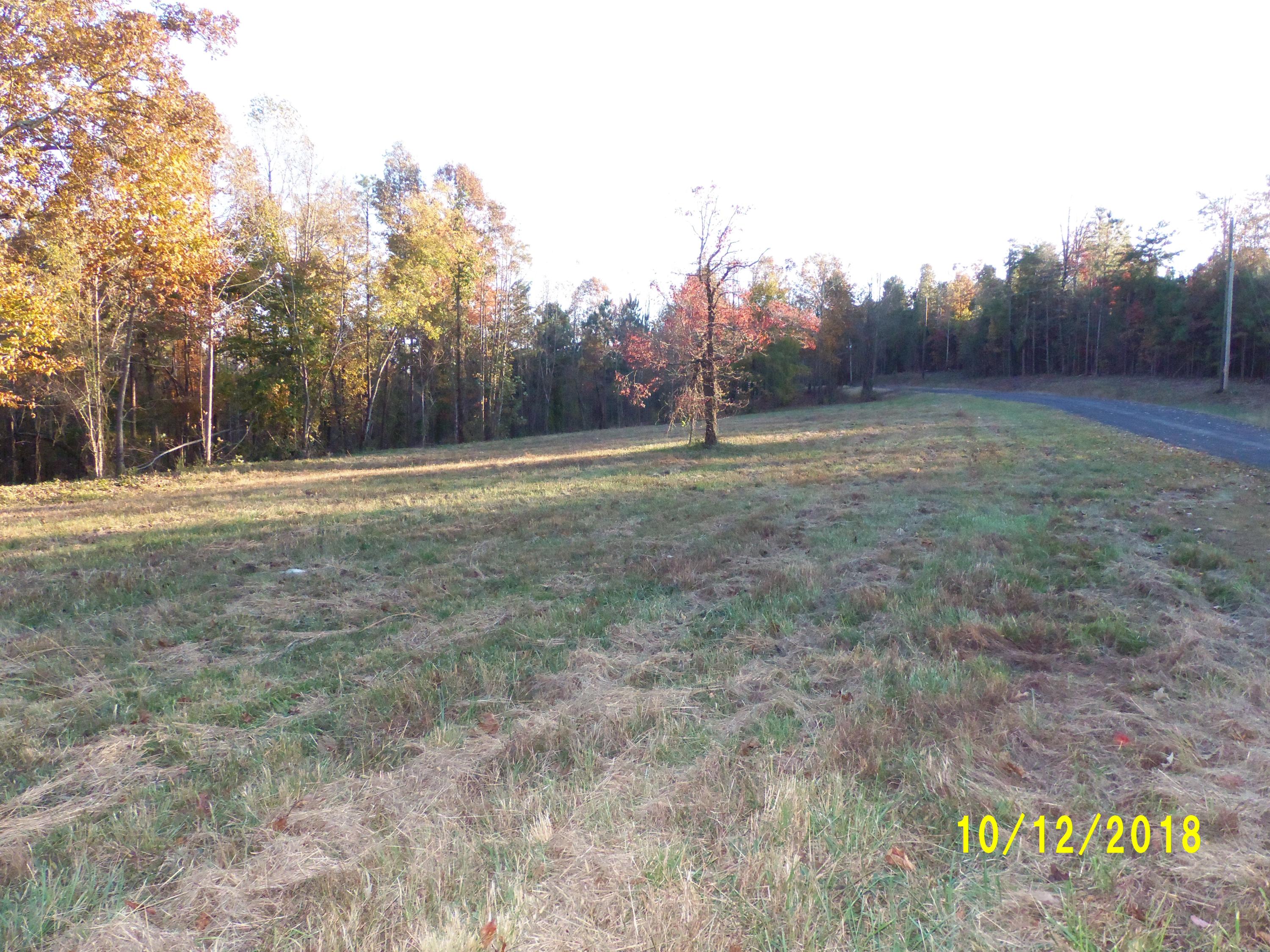 0 Blair Road, Unit TRACT #1 Cohutta, GA 30710 - Photo 3 of 11 101_0908
