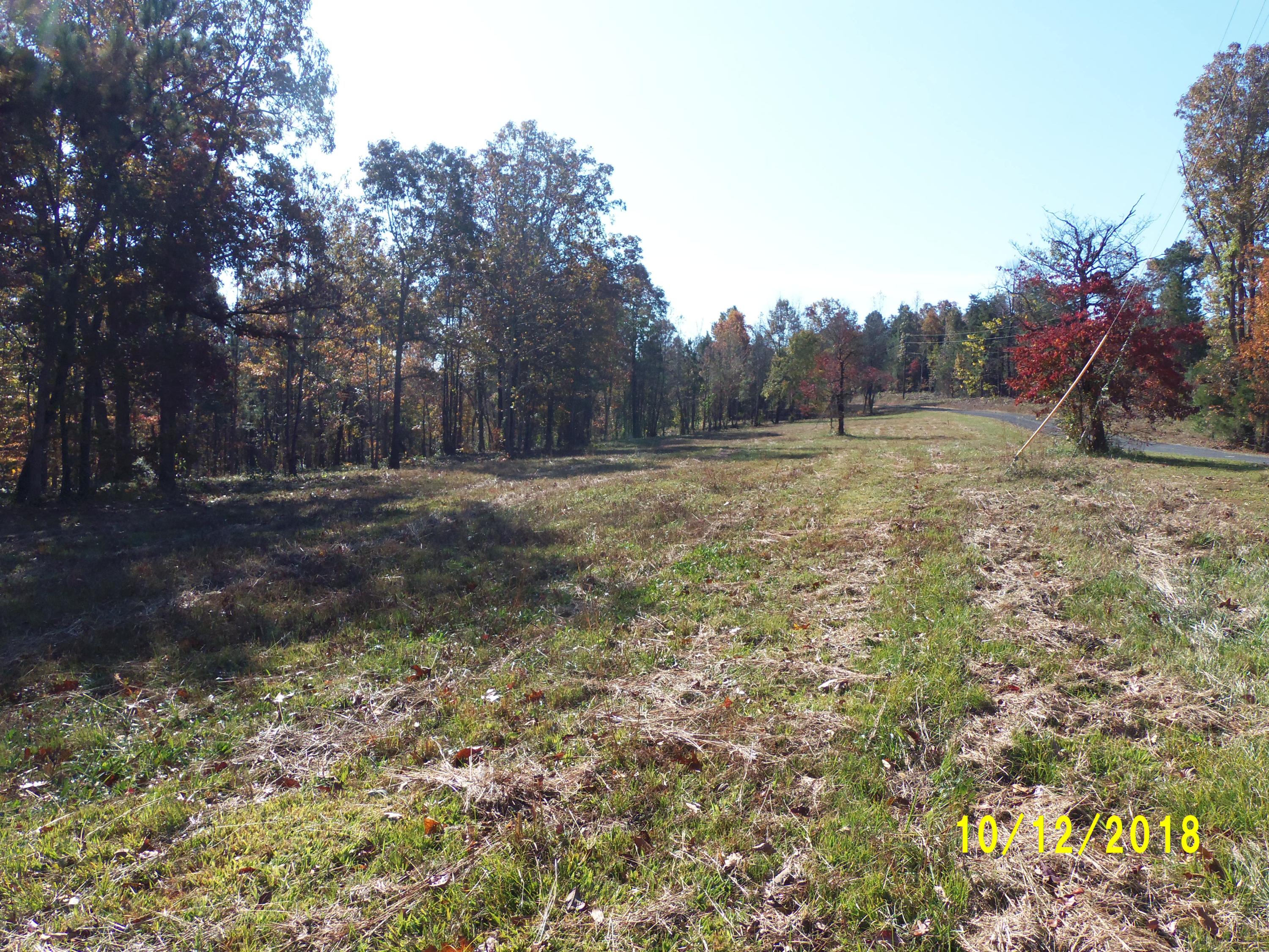 0 Blair Road, Unit TRACT #1 Cohutta, GA 30710 - Photo 4 of 11 101_0943