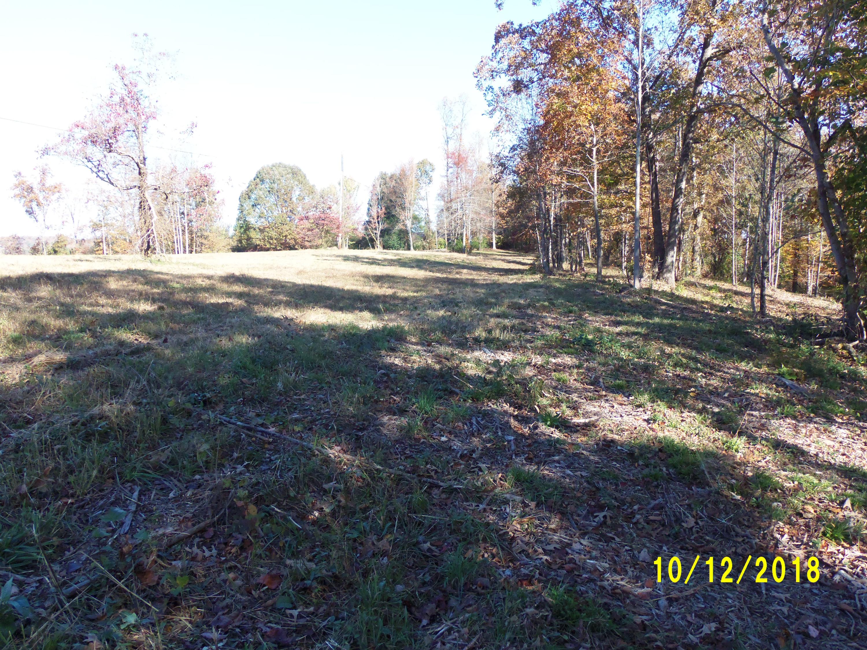 0 Blair Road, Unit TRACT #1 Cohutta, GA 30710 - Photo 8 of 11 101_0928