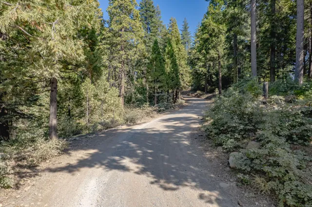 a view of backyard with green space