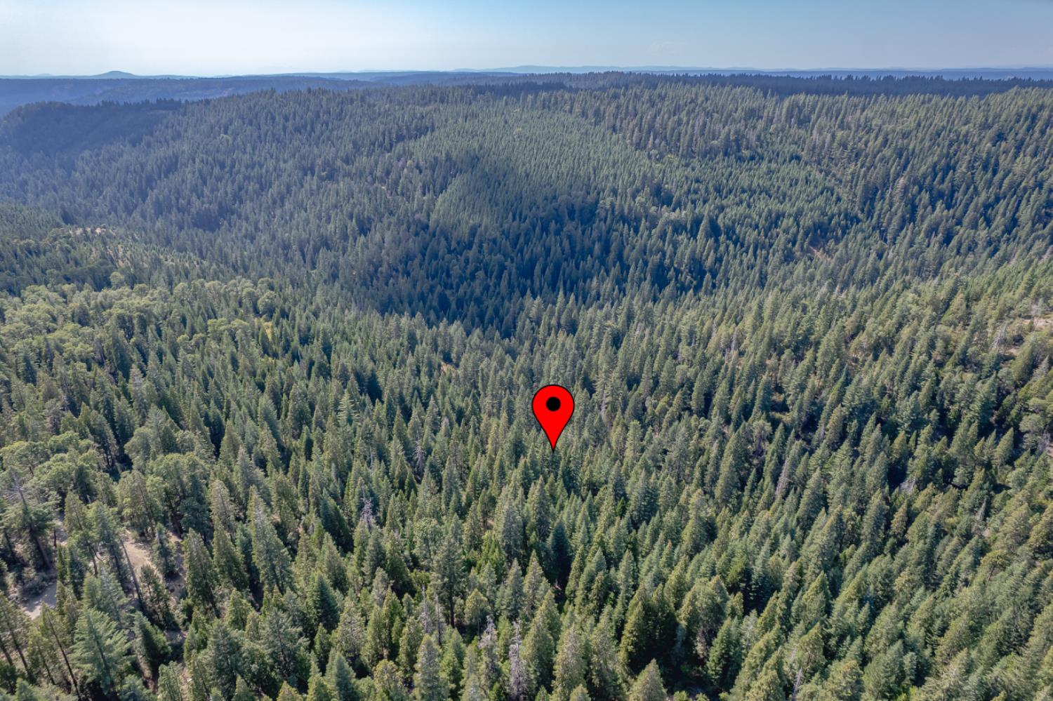10662 Lowell Hill Road Nevada City, CA 95959 - Photo 12 of 19 a view of a lush green forest