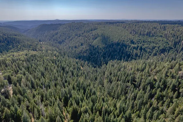 a view of a lush green field