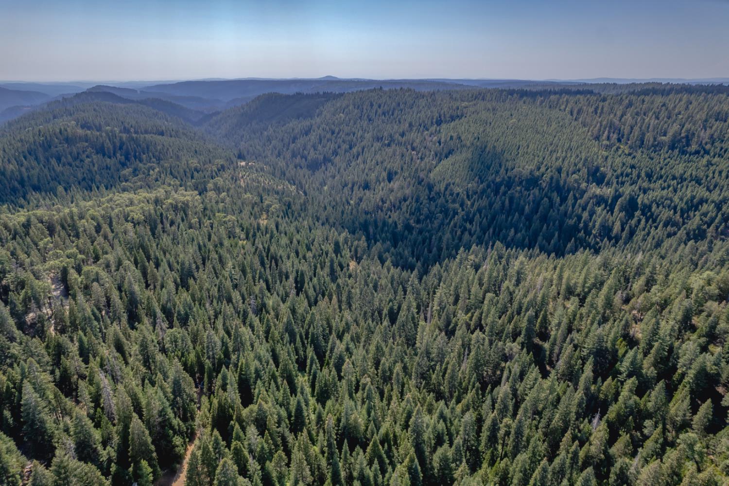 10662 Lowell Hill Road Nevada City, CA 95959 - Photo 17 of 19 a view of a lush green field