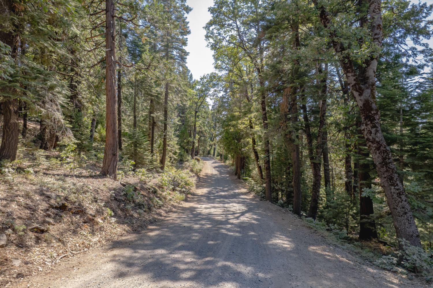 10662 Lowell Hill Road Nevada City, CA 95959 - Photo 2 of 19 a view of a forest with trees