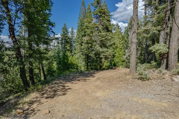 a view of a dirt road with trees in the background