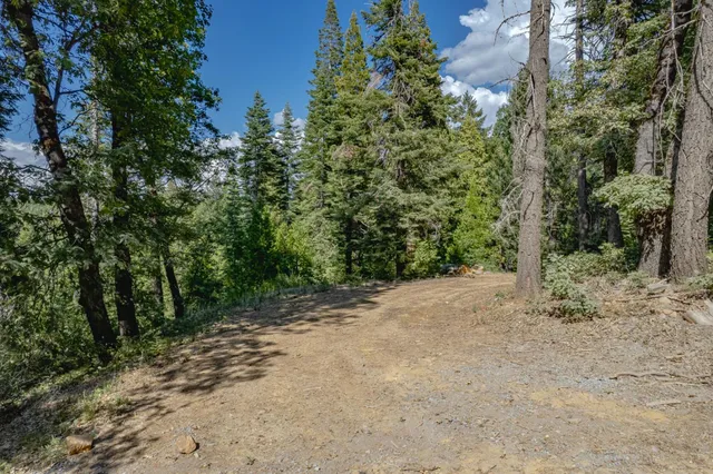 a view of a dirt road with trees in the background