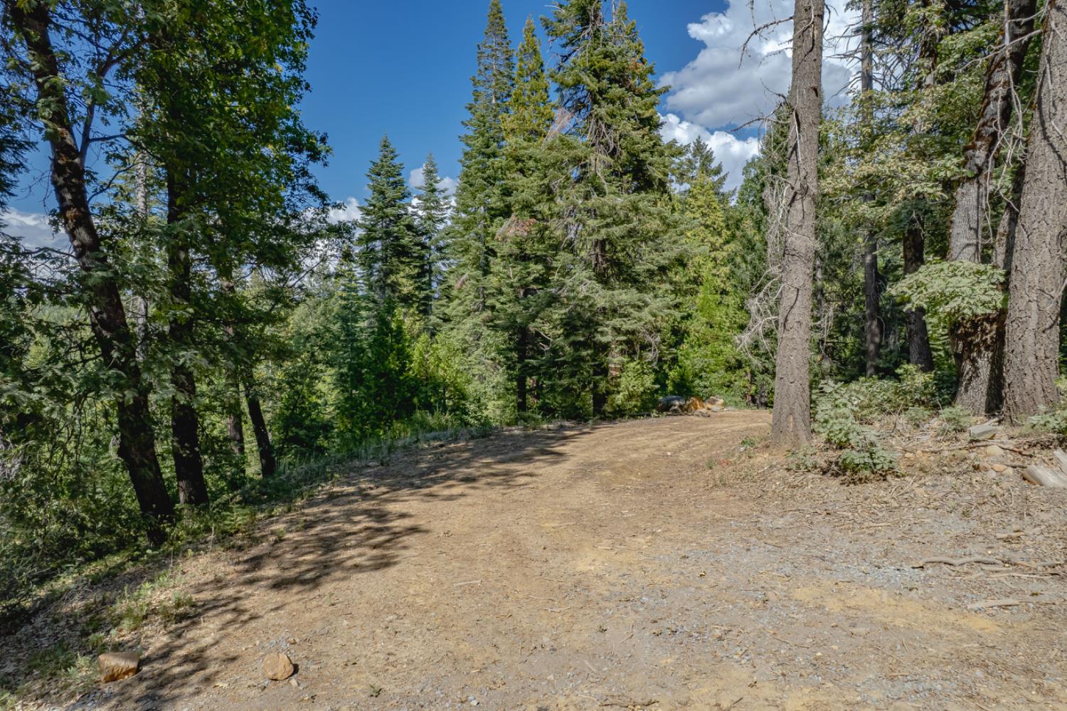 10662 Lowell Hill Road Nevada City, CA 95959 - Photo 3 of 19 a view of a dirt road with trees in the background