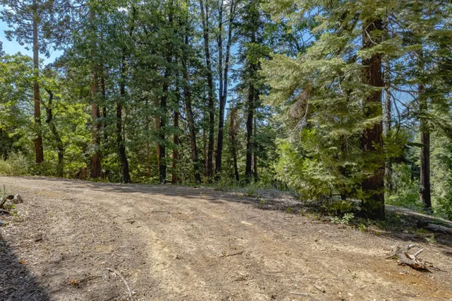 a view of a yard with trees