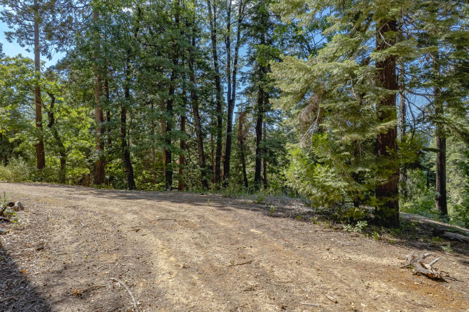10662 Lowell Hill Road Nevada City, CA 95959 - Photo 4 of 19 a view of a yard with trees