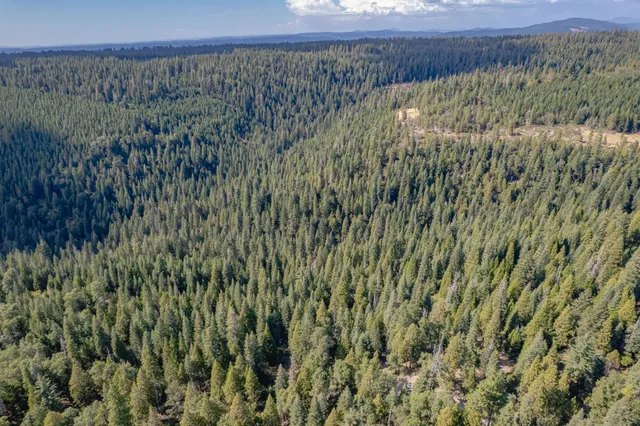 a view of a lush green field