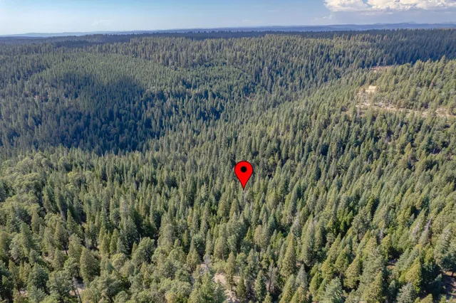 a view of a lush green field