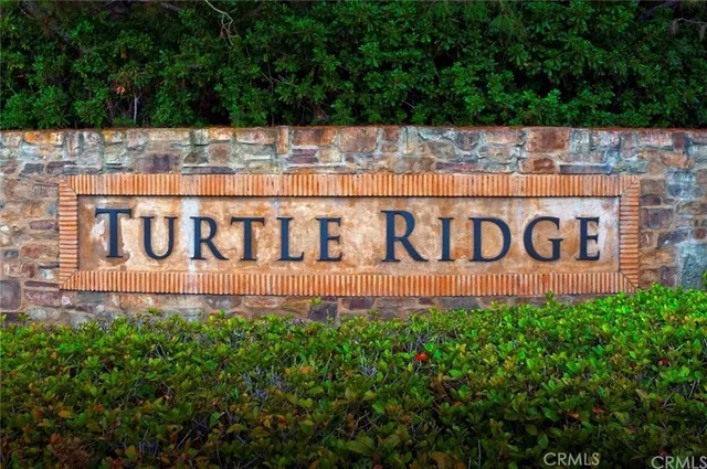 a view of a yard with palm trees