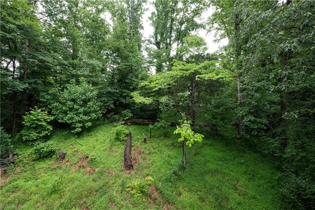 216 Brookwood Drive Elkin, NC 28621 - Photo 21 of 22 Wooded, private back yard