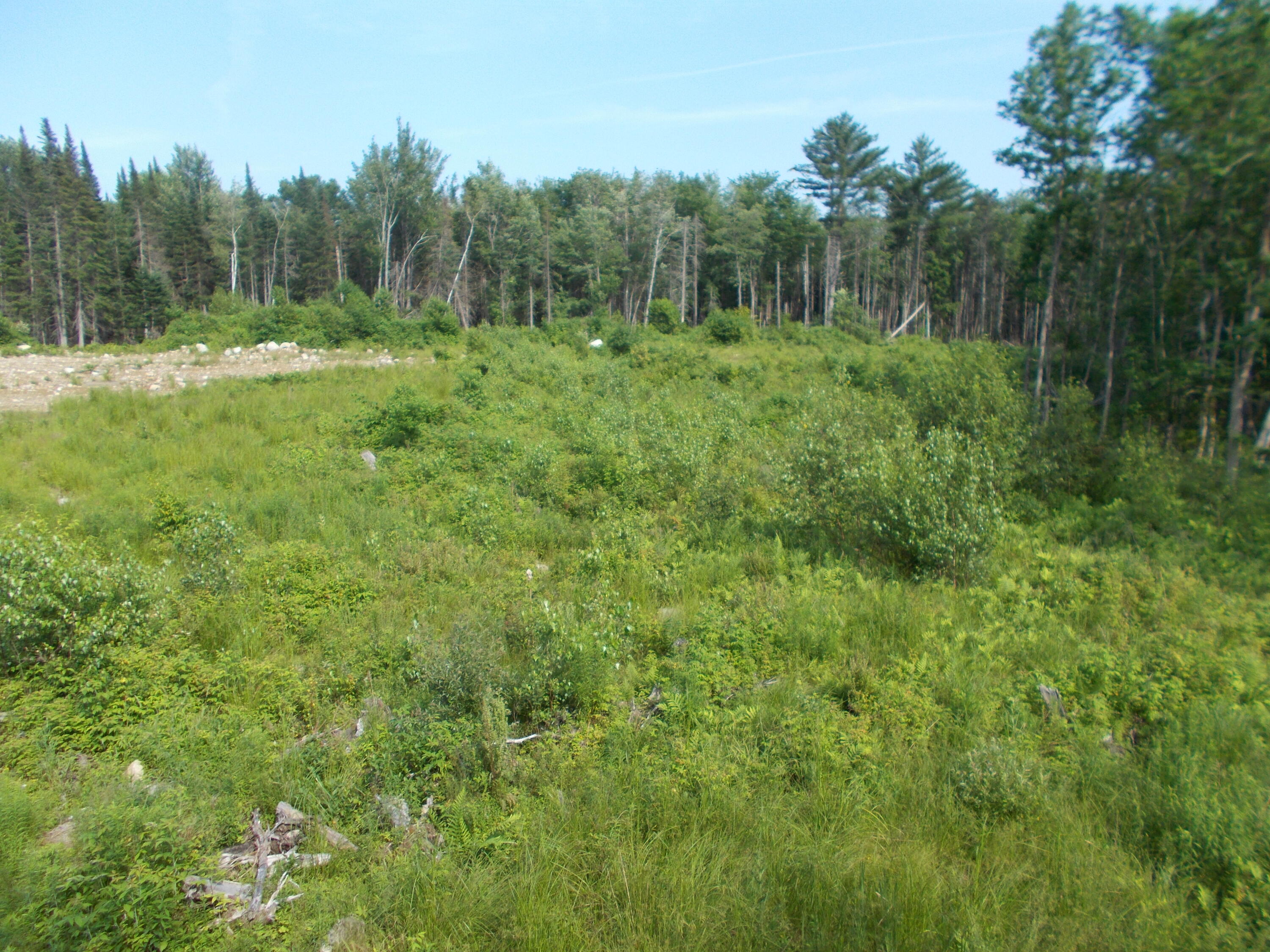 Lot 13 Canaan Road Pittsfield, ME 04967 - Photo 10 of 14 DSCN2528