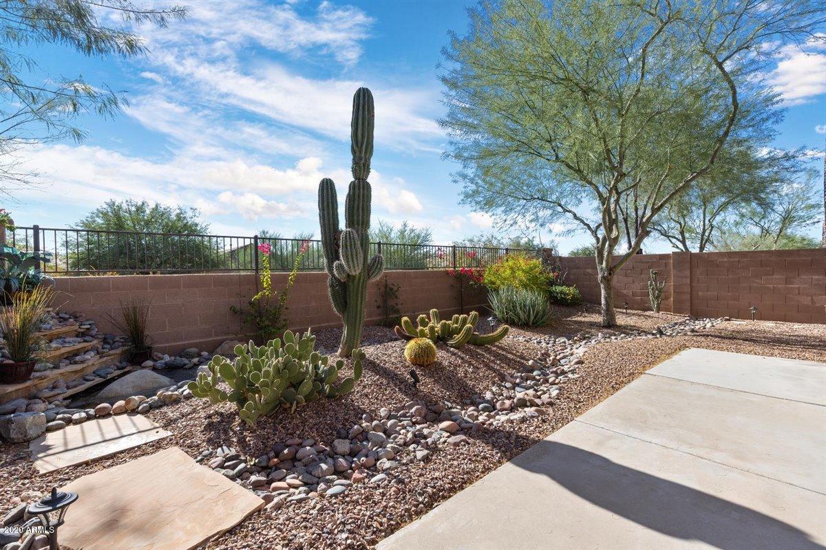 1663 West Morse Drive Anthem, AZ 85086 - Photo 19 of 21 19-Backyard