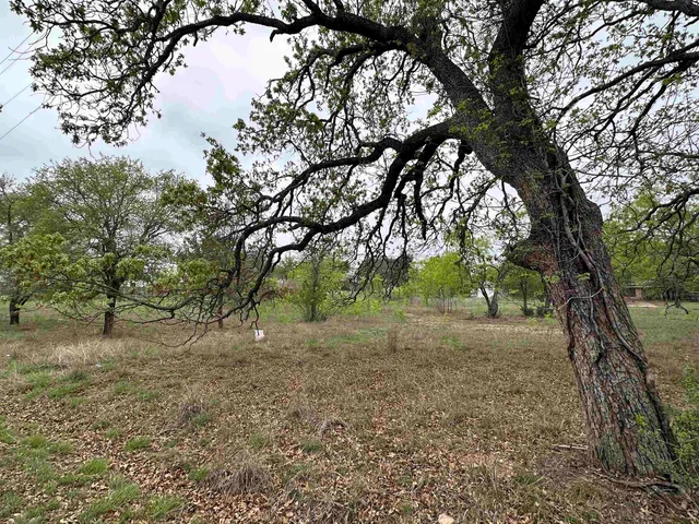 a view of dirt yard with a tree