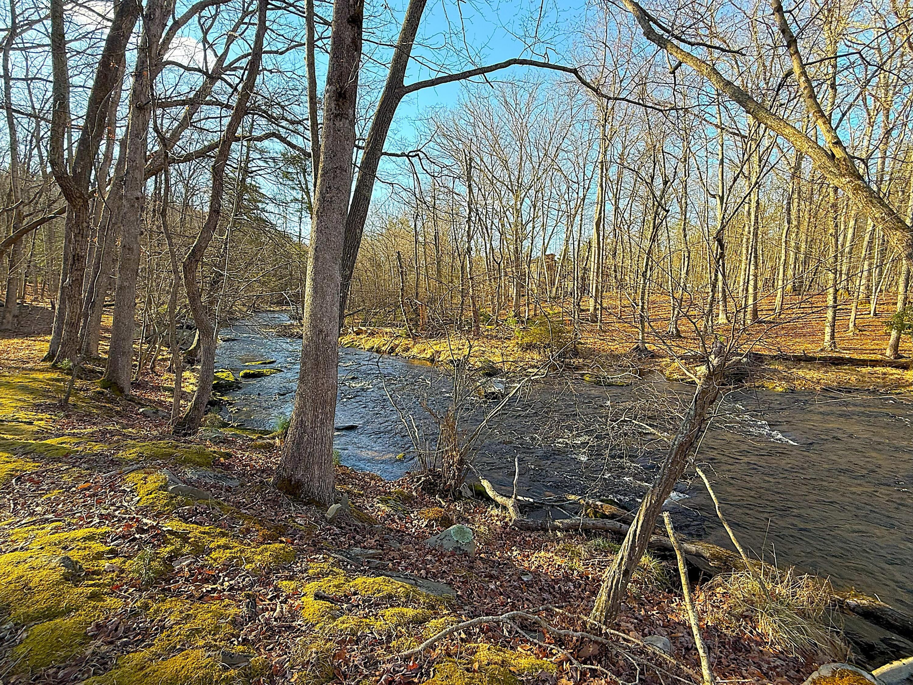 6486 Decker Road Bushkill, PA 18324 - Photo 33 of 53 a backyard of a house with lots of green space