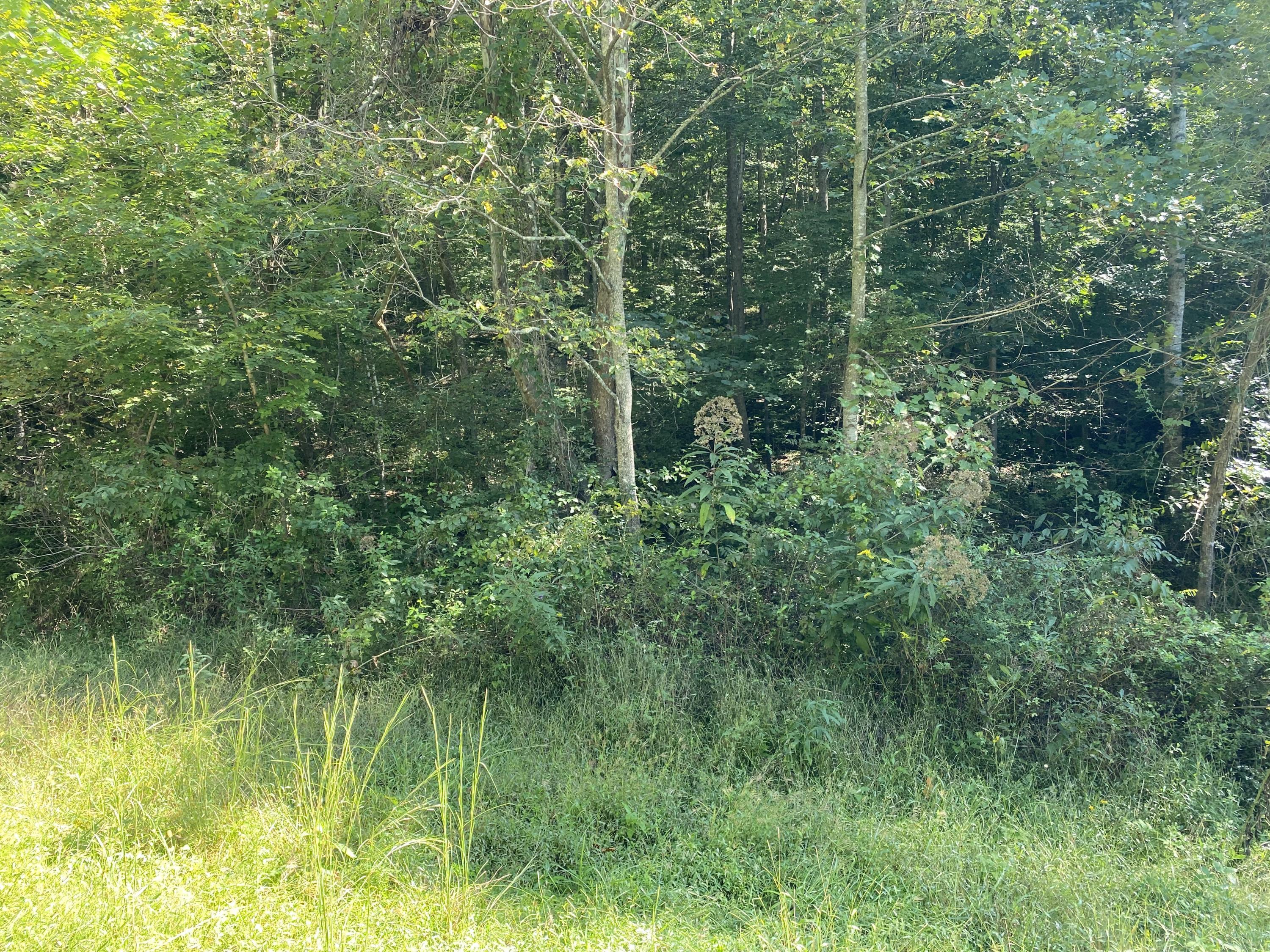 2734 Woods Creek Road Liberty, KY 42539 - Photo 4 of 8 Photo Sep 21, 10 38 47 AM