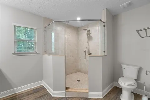 a bathroom with a shower and a toilet