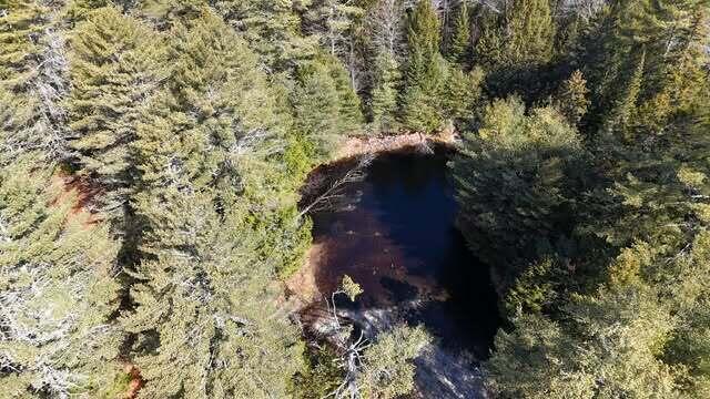 Lot 114 Old Brunswick Road Durham, ME 04222 - Photo 19 of 38