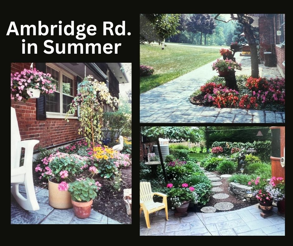 1547 Ambridge Road Centerville, OH 45459 - Photo 59 of 79 This charming home features beautiful landscaping with blooming seasonal flowers and inviting outdoor spaces.
