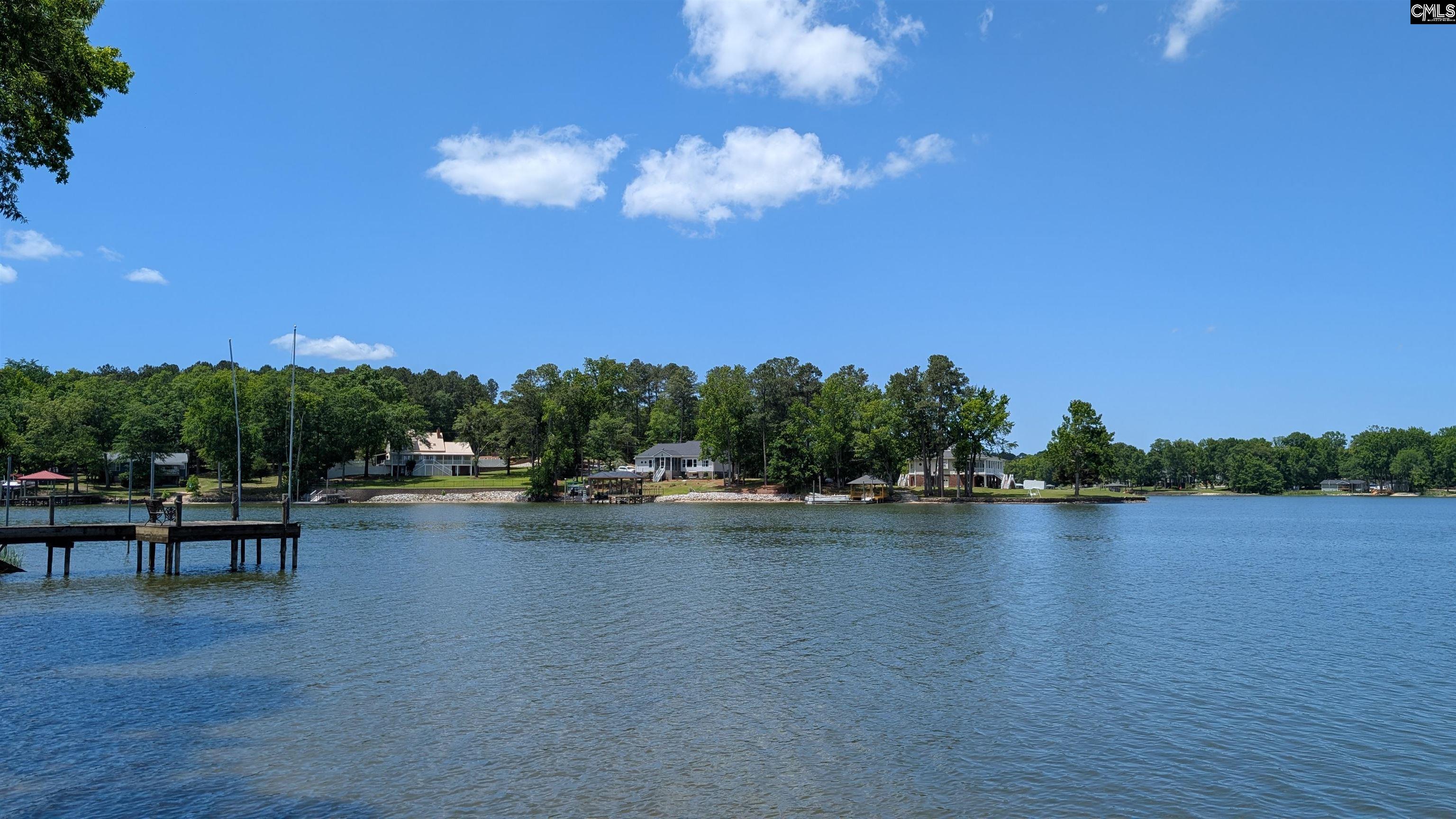 54 Windward Lane Ridgeway, SC 29130 - Photo 42 of 69