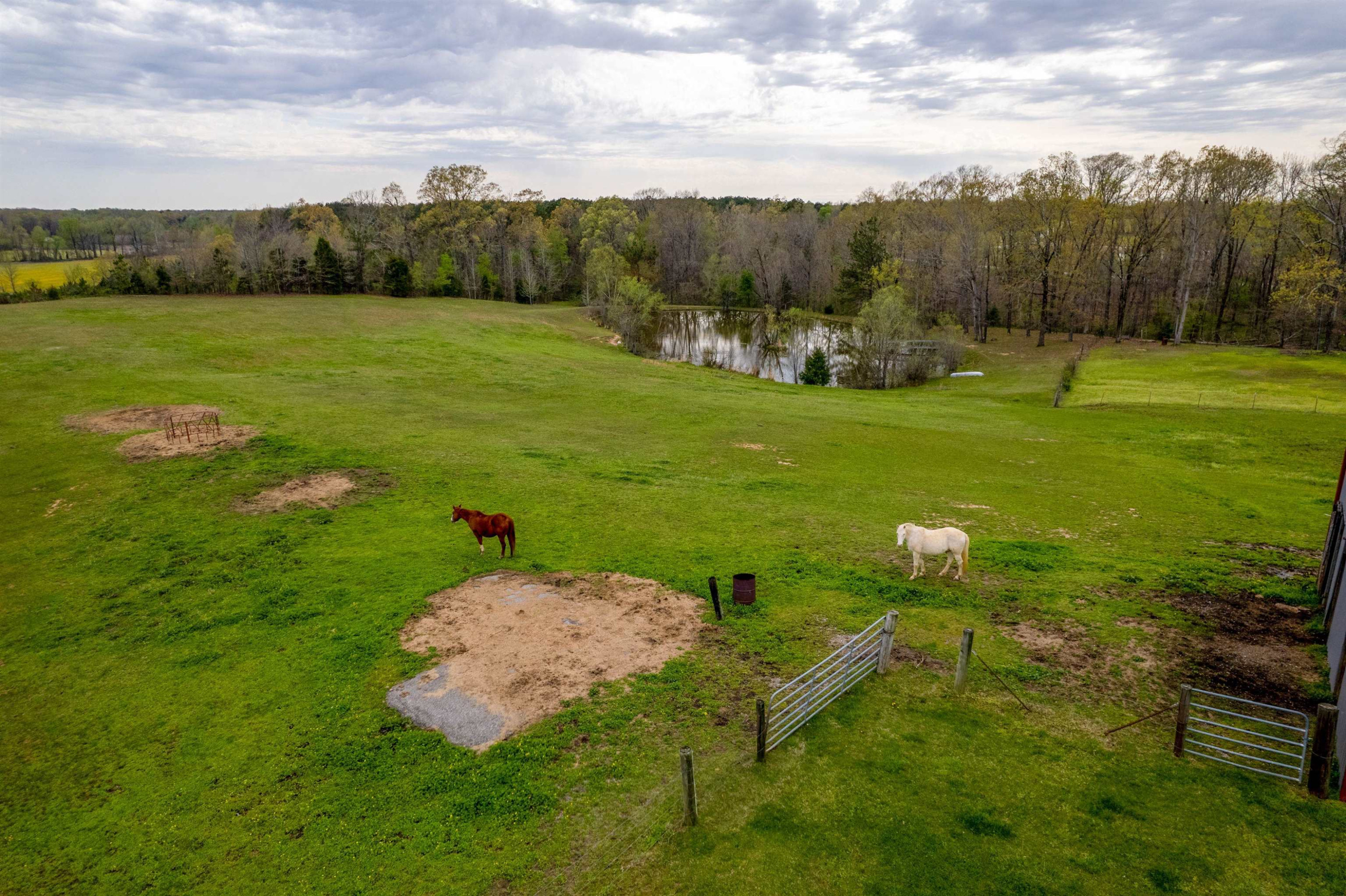 19 Hunter Jones Road Milan, TN 38358 - Photo 4 of 23 Photo 4